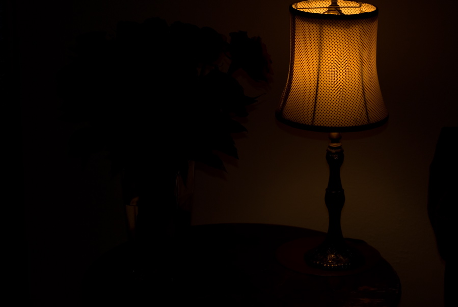 Dark - Rose Lamp